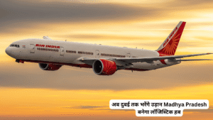 Air India aeroplane (2) (1)