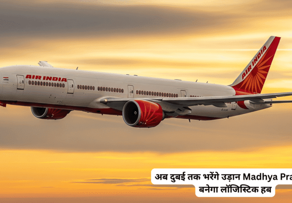 Air India aeroplane (2) (1)