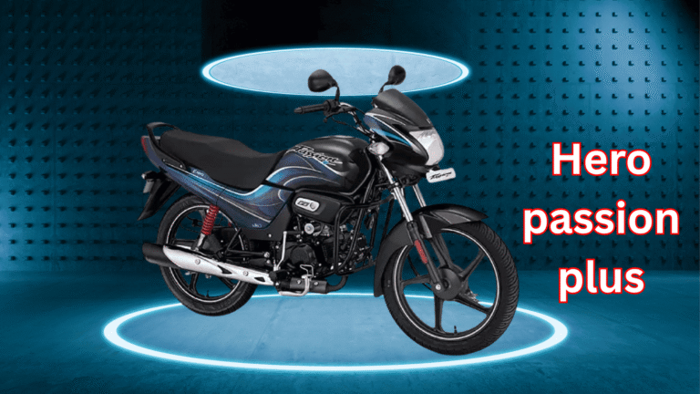 Hero Passion Plus (3) (1)
